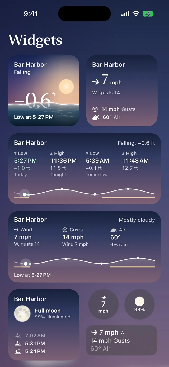 Waterline's Home Screen widgets: the water now, the wind, the day's tides and conditions, and the moon